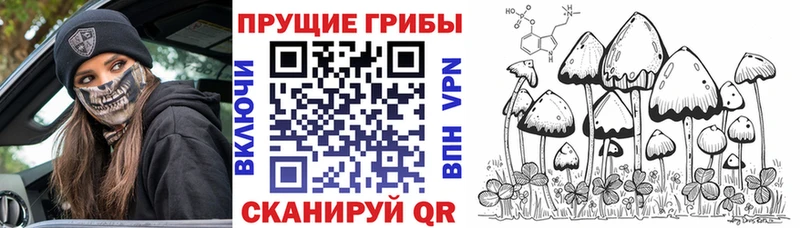 Псилоцибиновые грибы MAGIC MUSHROOMS  закладка  Енисейск 